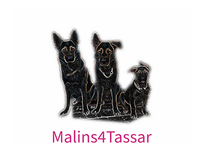 Malins 4 Tassar